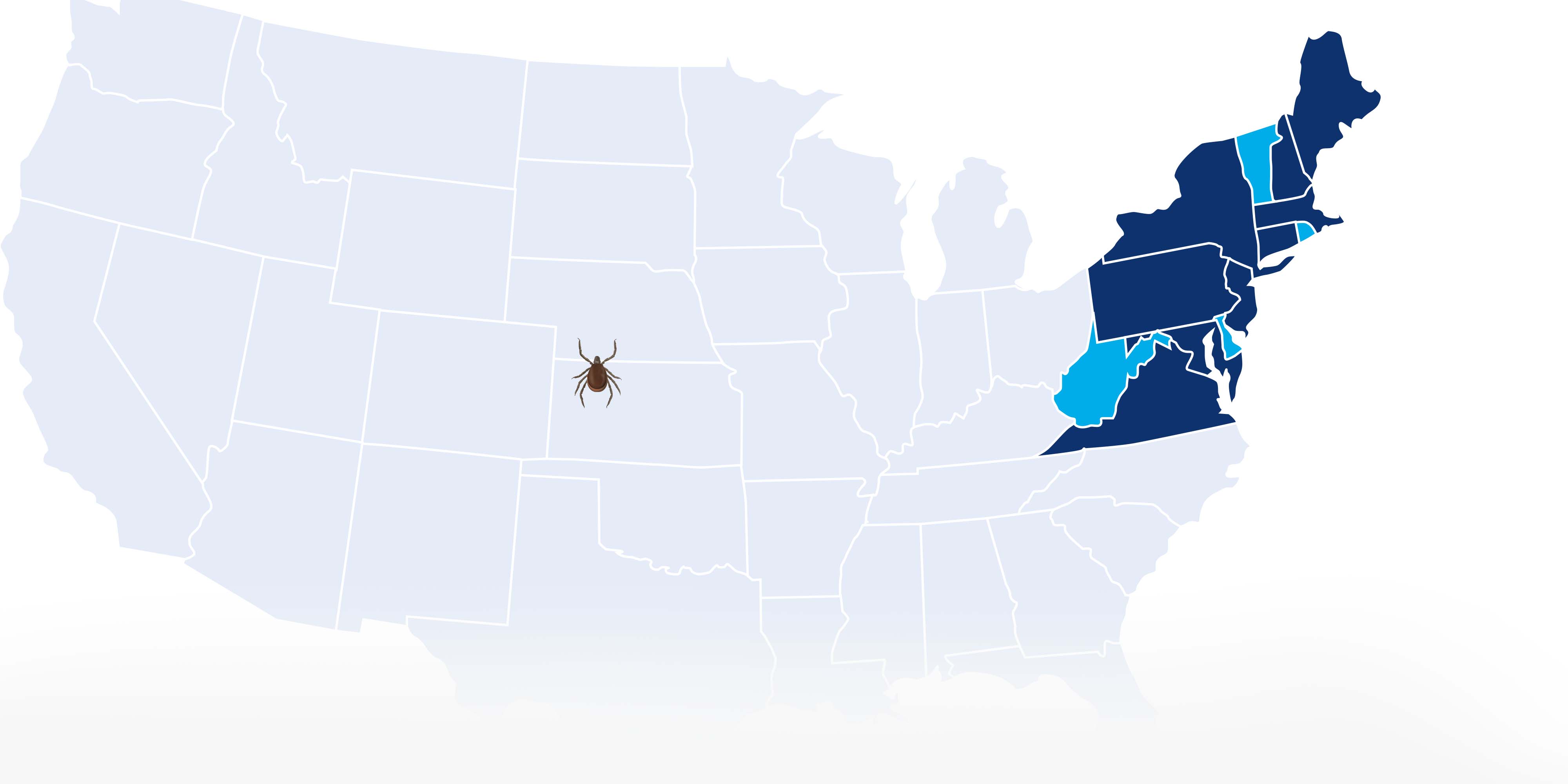 Ticks in the Northeast